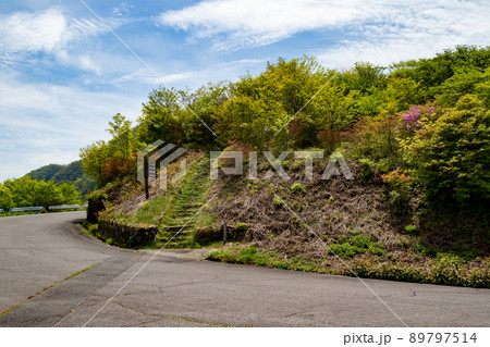 伊香保森林公園 つつじヶ丘 伊香保森林公園 つつじヶ丘 89797514