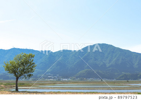夏井のハザ木から見た弥彦山 (新潟市 農村景観百選) 89797523