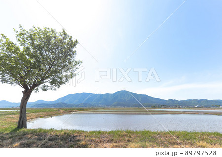 夏井のハザ木から見た弥彦山 (新潟市 農村景観百選) 89797528