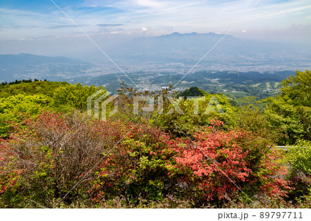 伊香保森林公園　つつじヶ丘展望台 89797711