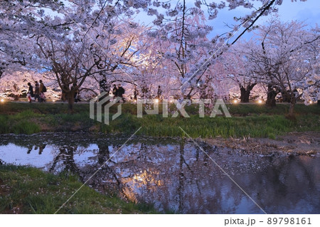 夕刻の西濠風景（弘前さくらまつり） 89798161