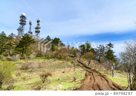 （山梨県）三ッ峠・御巣鷹山山頂へと続く道 89798297