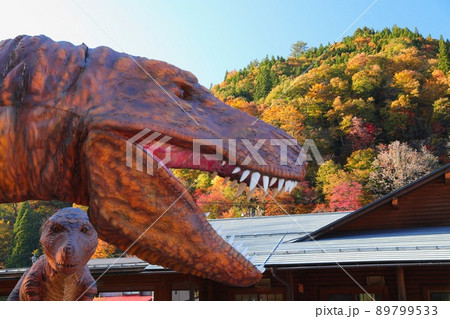 〔福井県大野市・11月〕恐竜の親子と紅葉 道の駅九頭竜 〔福井県大野市・11月〕恐竜の親子と紅葉 道の駅九頭竜 89799533