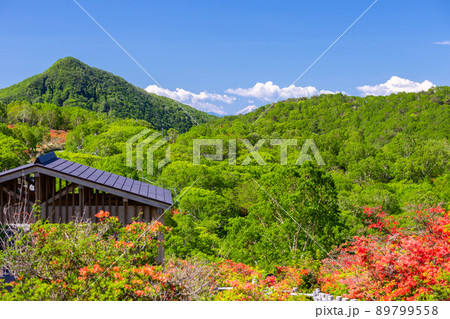 見晴らし山から富士山 見晴らし山から富士山 89799558
