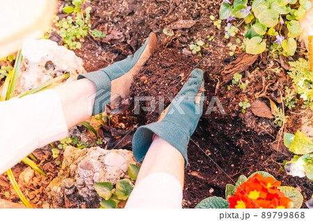 detail of a man's hands working the soil in his garden detail of a man's hands working the soil in his garden 89799868