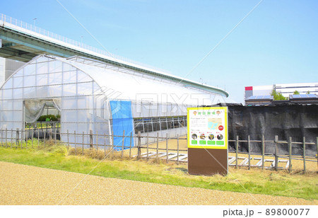 兵庫県立尼崎の森中央緑地・育苗圃場/兵庫県尼崎市扇町33 兵庫県立尼崎の森中央緑地・育苗圃場/兵庫県尼崎市扇町33 89800077
