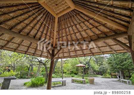 向島百花園　東京都墨田区東向島　都立庭園　草本類を多数栽培   池    泉　園路   建物　石碑 89800258