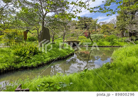 向島百花園　東京都墨田区東向島　都立庭園　草本類を多数栽培   池    泉　園路   建物　石碑 89800296