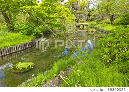 向島百花園 東京都墨田区東向島 都立庭園 草本類を多数栽培 池 泉 園路 建物 石碑 向島百花園 東京都墨田区東向島 都立庭園 草本類を多数栽培 池 泉 園路 建物 石碑 89800325