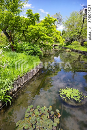 向島百花園 東京都墨田区東向島 都立庭園 草本類を多数栽培 池 泉 園路 建物 石碑 向島百花園 東京都墨田区東向島 都立庭園 草本類を多数栽培 池 泉 園路 建物 石碑 89800328
