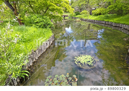 向島百花園　東京都墨田区東向島　都立庭園　草本類を多数栽培   池    泉　園路   建物　石碑 89800329