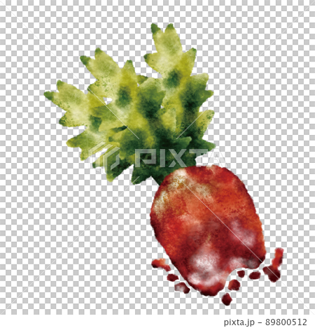 紅蘿蔔 紅蘿蔔 89800512