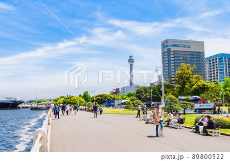 横浜 山下公園 横浜 山下公園 89800522