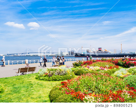 横浜　山下公園とベイブリッジ 89800525