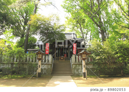 千束八幡神社 拝殿 89802053