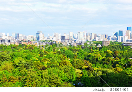 新宿御苑越しに見える高層ビル群 89802402