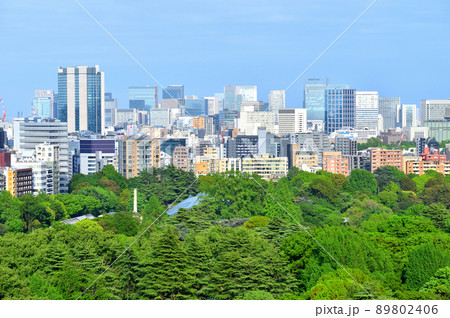 新宿御苑越しに見える高層ビル群 89802406