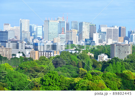 新宿御苑越しに見える高層ビル群 89802445