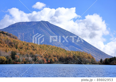 湯ノ湖から見た男体山 89802953