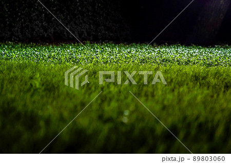Grasses on the ground in the dark night garden with spotlight light. 89803060