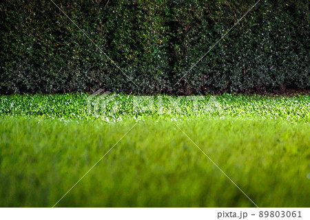 Grasses on the ground in the dark night garden with spotlight light. 89803061