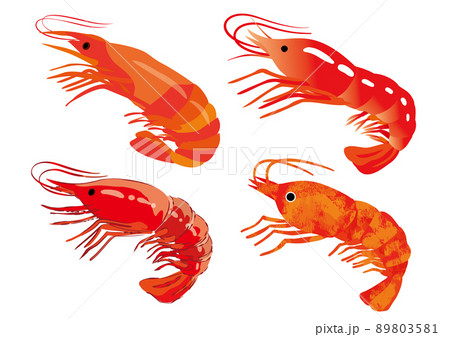 海老　イラストセット 89803581