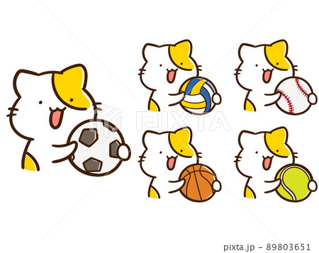色々な球技のボールを持つかわいいねこの手書き風イラストセット 89803651
