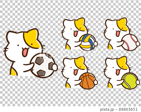 色々な球技のボールを持つかわいいねこの手書き風イラストセット 89803651