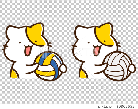 二種類のバレーボールを持つかわいいねこの手書き風イラストセット 二種類のバレーボールを持つかわいいねこの手書き風イラストセット 89803653