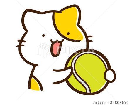 硬式テニスのボールを持つかわいいねこのキャラクターの手書き風イラスト 硬式テニスのボールを持つかわいいねこのキャラクターの手書き風イラスト 89803656