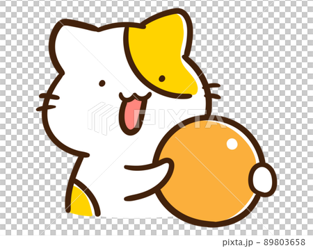 ピンポン玉を持つかわいいねこのキャラクターの手書き風イラスト ピンポン玉を持つかわいいねこのキャラクターの手書き風イラスト 89803658
