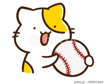 野球ボールを持つかわいいねこのキャラクターの手書き風イラスト 89803660