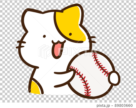 Handwritten style illustration of a cute cat character holding a baseball ball 89803660