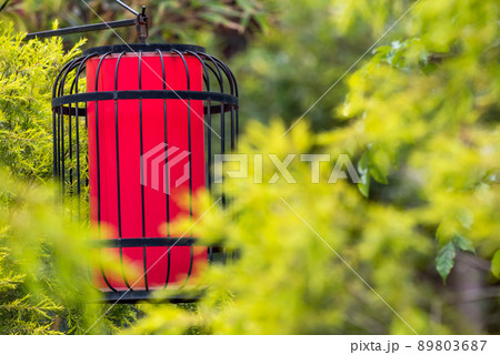 Red Chinese lantern among green leaves in a garden in Chengdu, Sichuan province, China 89803687