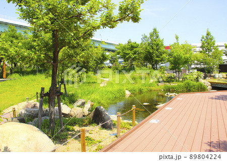 兵庫県立尼崎の森中央緑地/兵庫県尼崎市扇町33 兵庫県立尼崎の森中央緑地/兵庫県尼崎市扇町33 89804224