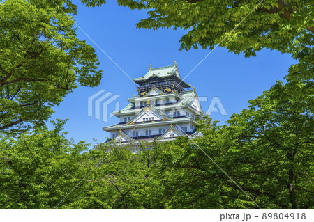 大阪城 西の丸庭園から望む(2022年初夏 新緑の季節) 大阪城 西の丸庭園から望む(2022年初夏 新緑の季節) 89804918