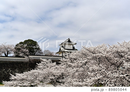 金沢城公園の桜景色 金沢城公園の桜景色 89805044