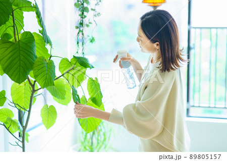 部屋の観葉植物に水をあげる女性 部屋の観葉植物に水をあげる女性 89805157