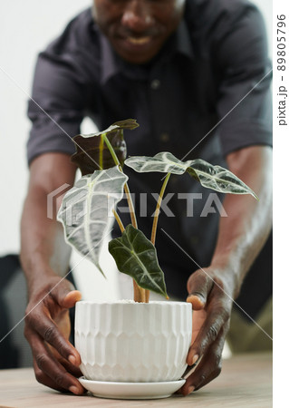 Employee Decorating Workplace Employee Decorating Workplace 89805796