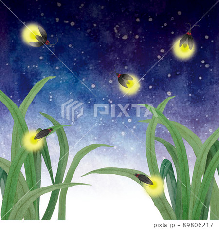 幻想的な夏の夜の蛍の水彩画 89806217