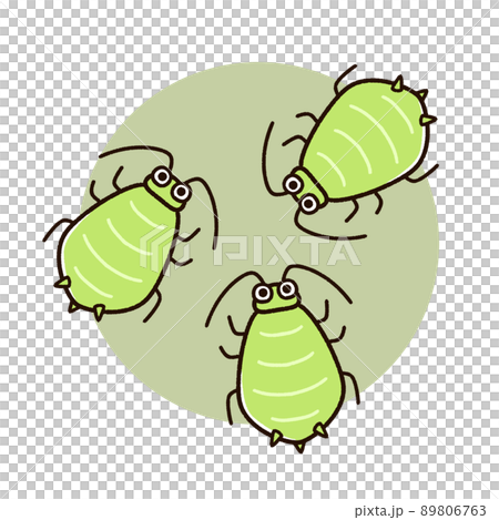 一群可愛的蚜蟲 一群可愛的蚜蟲 89806763