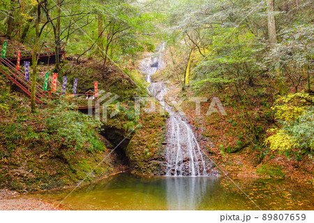 阿寺の七滝 紅葉 秋 阿寺の七滝 紅葉 秋 89807659