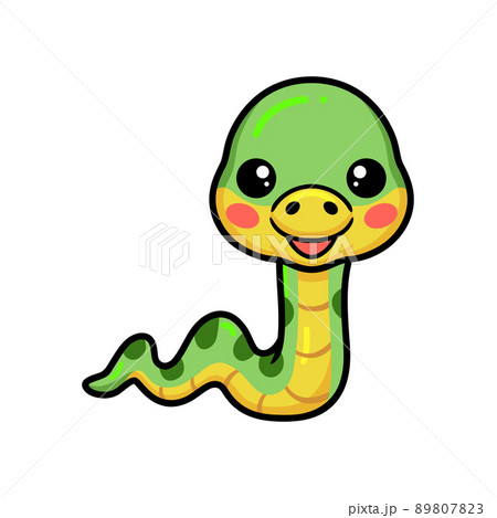 Cute little green snake cartoon	 89807823