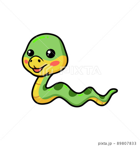 Cute little green snake cartoon	 89807833