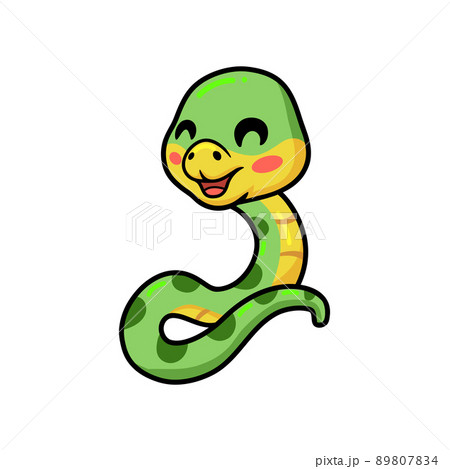 Cute little green snake cartoon	 89807834
