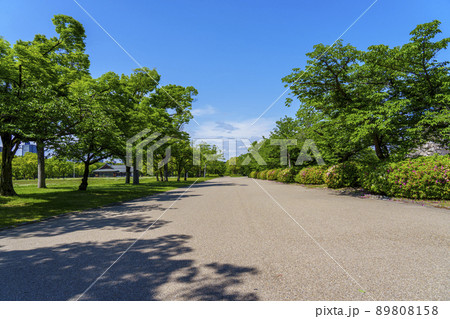 大阪 西の丸庭園 散策 道(2022年 初夏) 大阪 西の丸庭園 散策 道(2022年 初夏) 89808158