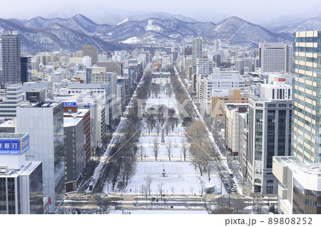 北海道・札幌　大通公園と札幌の街並み（テレビ塔からの眺め） 89808252