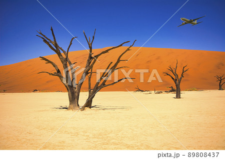 ナミブ砂漠上空を飛行する飛行機 89808437