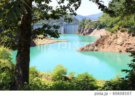 木の間から見える青い湖 89808507