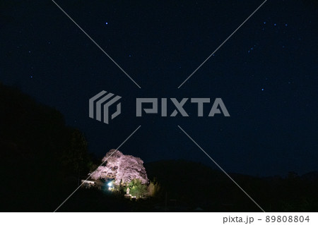 満天の星空と樋下のエドヒガンザクラ ライトアップ 和歌山県海草郡紀美野町 満天の星空と樋下のエドヒガンザクラ ライトアップ 和歌山県海草郡紀美野町 89808804